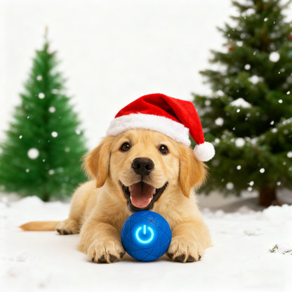 PlayPounce™ Smart Speelbal