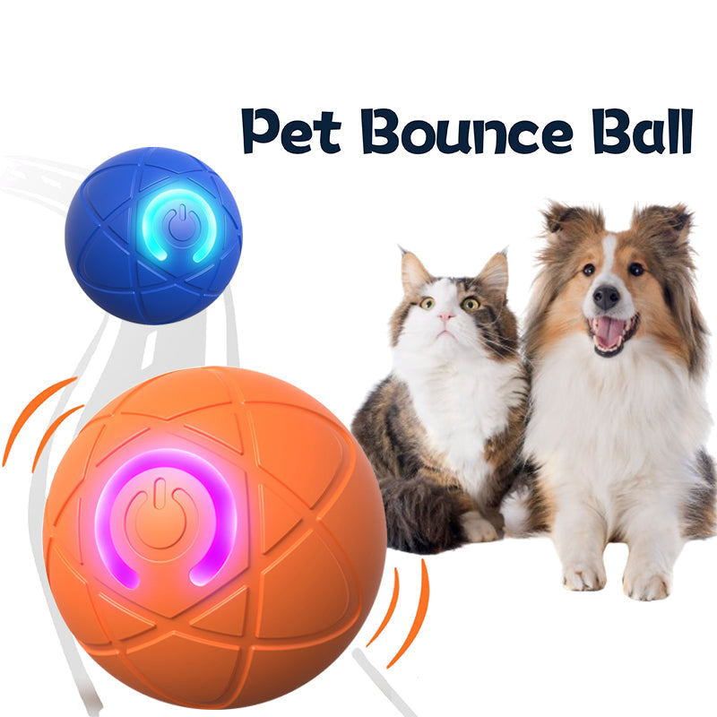 PlayPounce™ Smart Speelbal