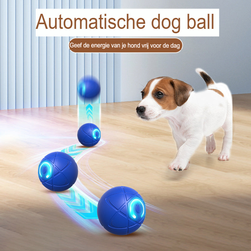 PlayPounce™ Smart Speelbal