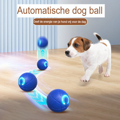 PlayPounce™ Smart Speelbal