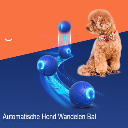 PlayPounce™ Smart Speelbal