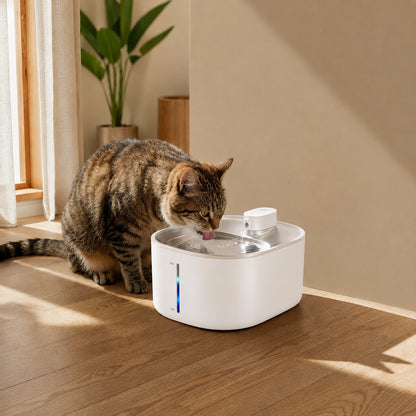 FlowPure™ Drinkfontein voor Huisdieren